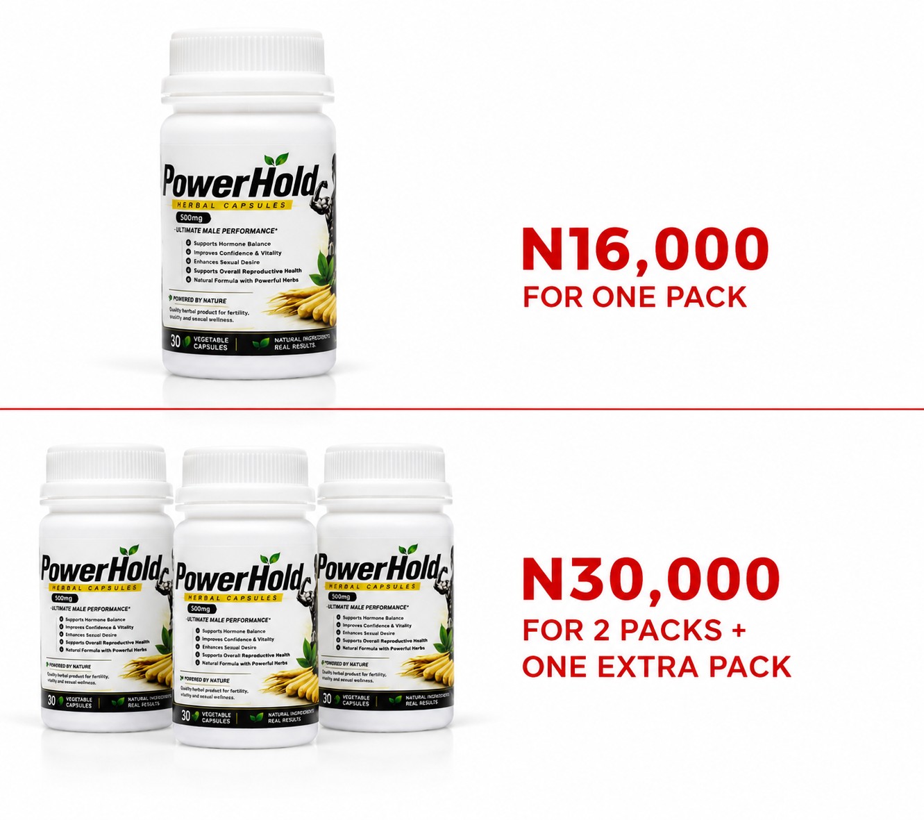 PowerHold_Pricing_WordPress_Optimized